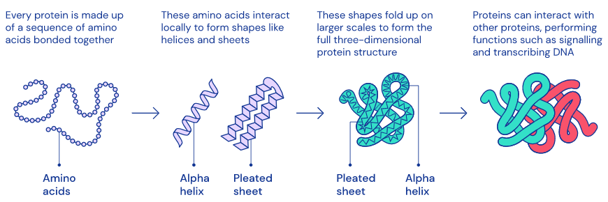 开云体育APP下载-NBA2K盘口突变，业内人士深度分析的简单介绍