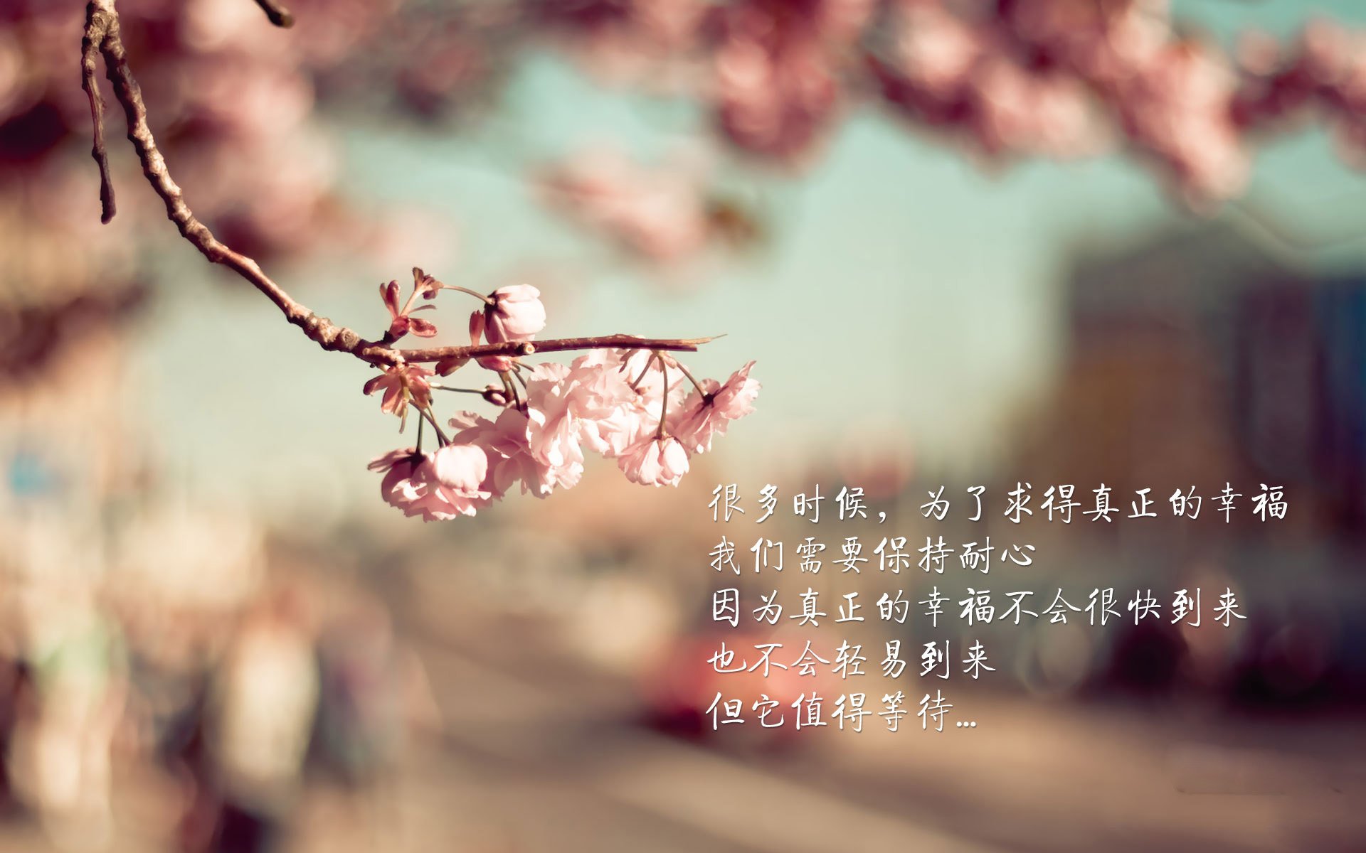 2026世界杯焦点战,圣何塞的轰鸣—洪都拉斯如何以钢铁意志碾压五星巴西