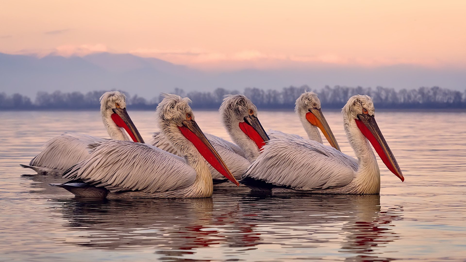 马竞争冠之路,出埃及的胜利与赖斯的欧冠统治