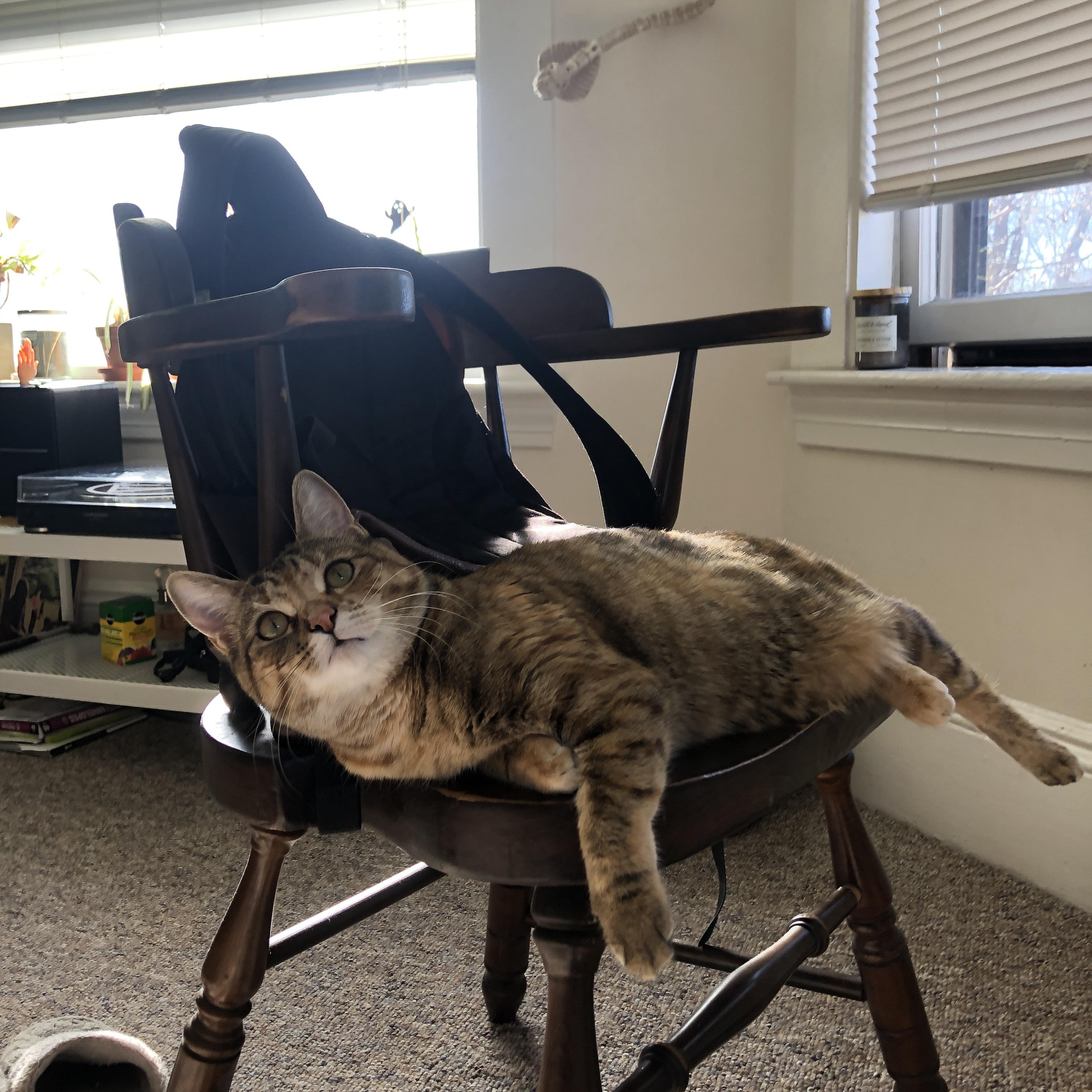 开云sport-超现实的证明，当摩洛哥全明星队在马德里竞技主场迎战C罗