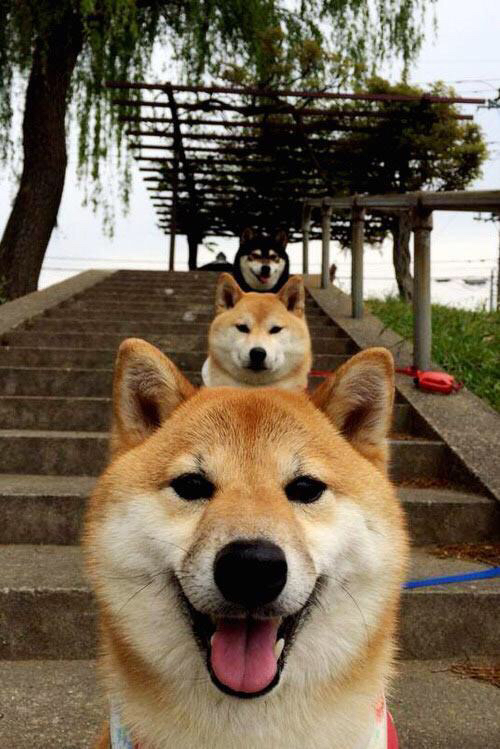 真正的突尼斯对局，当全场最佳并非胜负，而是亚洲足球的镜中之影