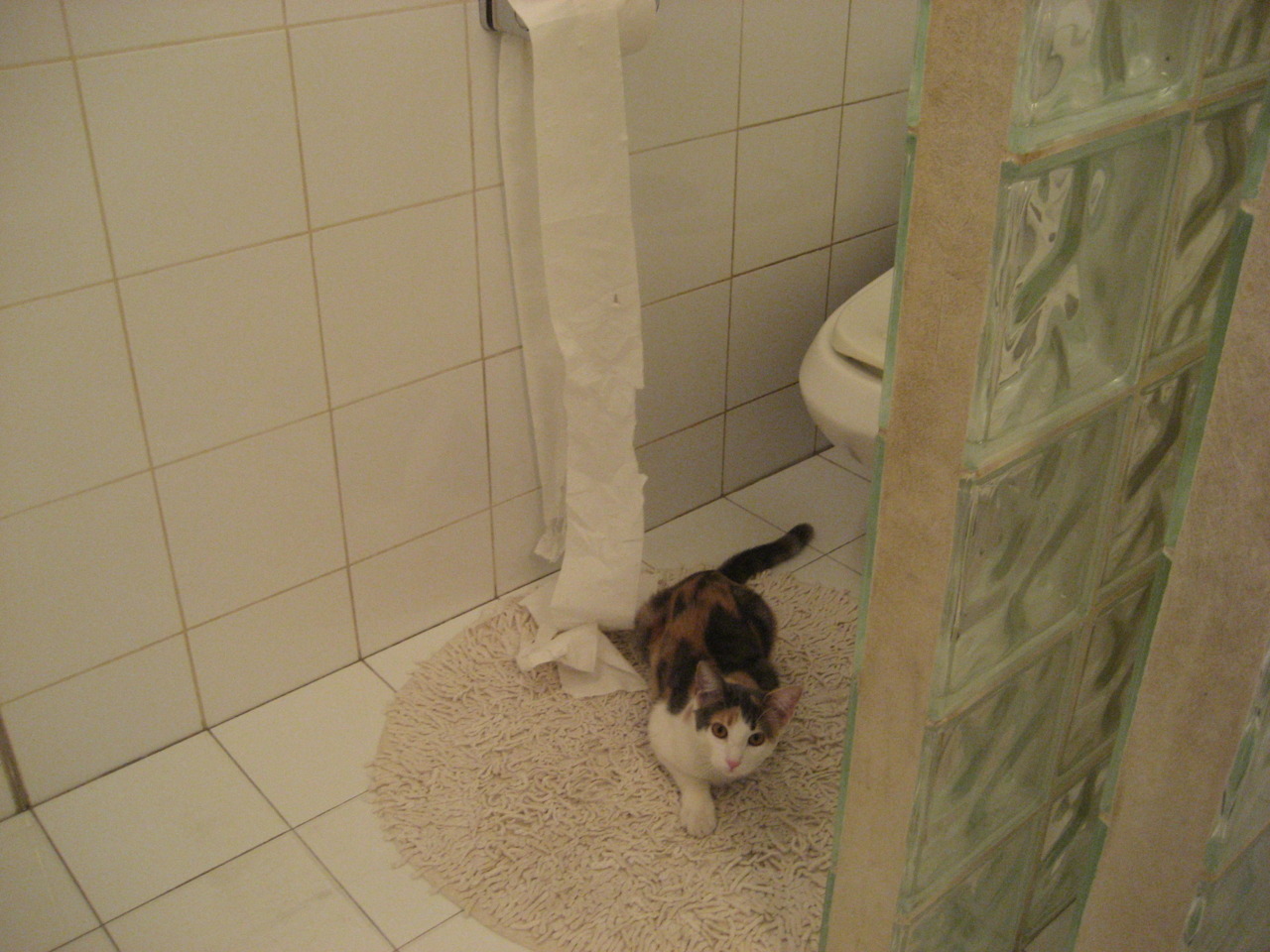 王者冲击！雄鹿攻防一体碾压骑士，强势晋级书写新传奇