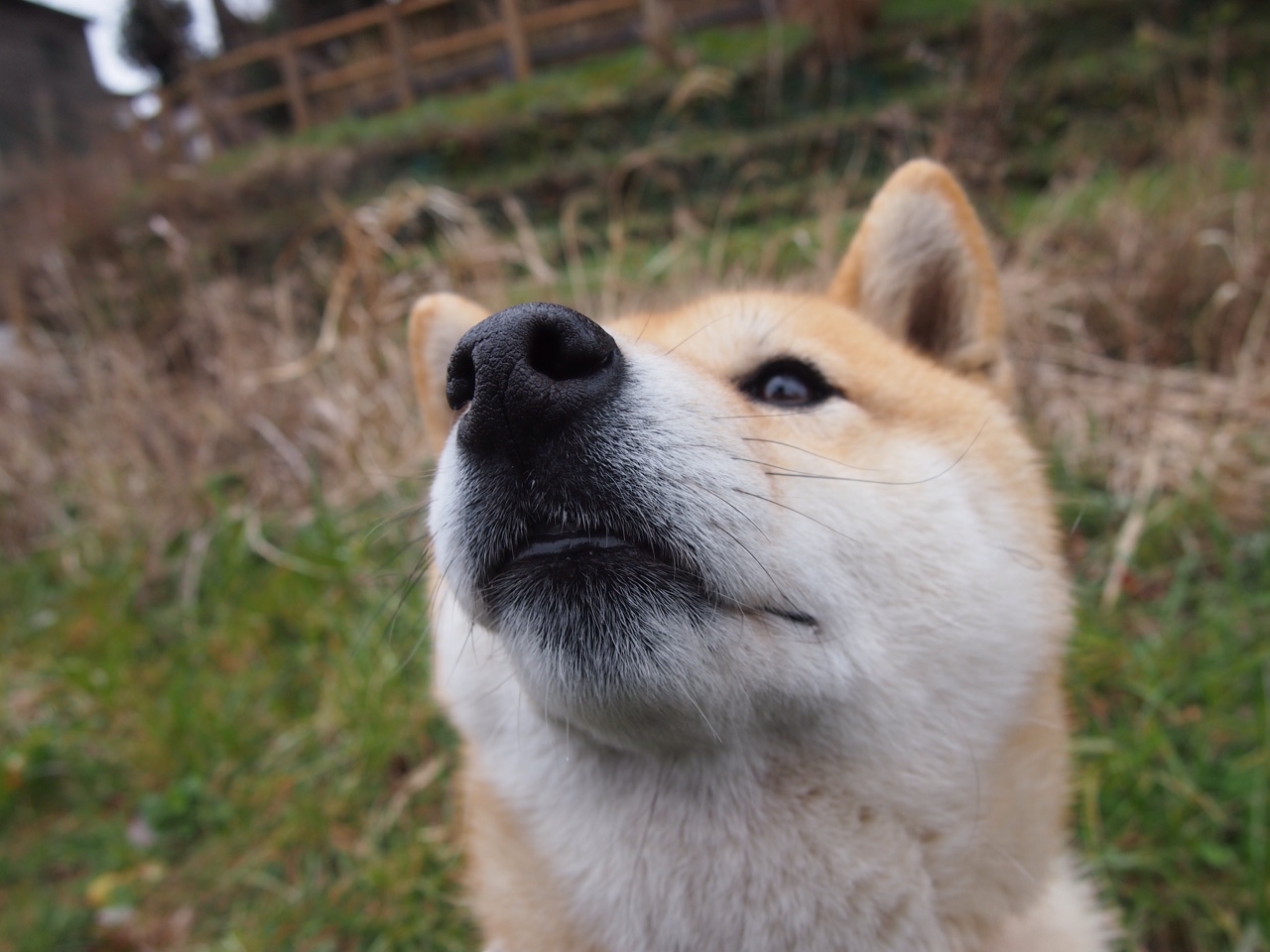 开云体育在线-欧冠焦点战解读，从乌拉圭的生死战，到拉齐奥的晋级之路