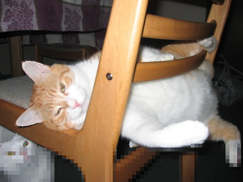 跨越现实的绝杀，当字母哥降临奇才与马刺的经典之夜