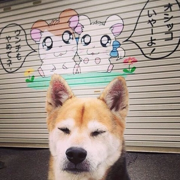 烈焰焚冰，杰伦·格林如何将盐湖城淬炼为风暴之眼