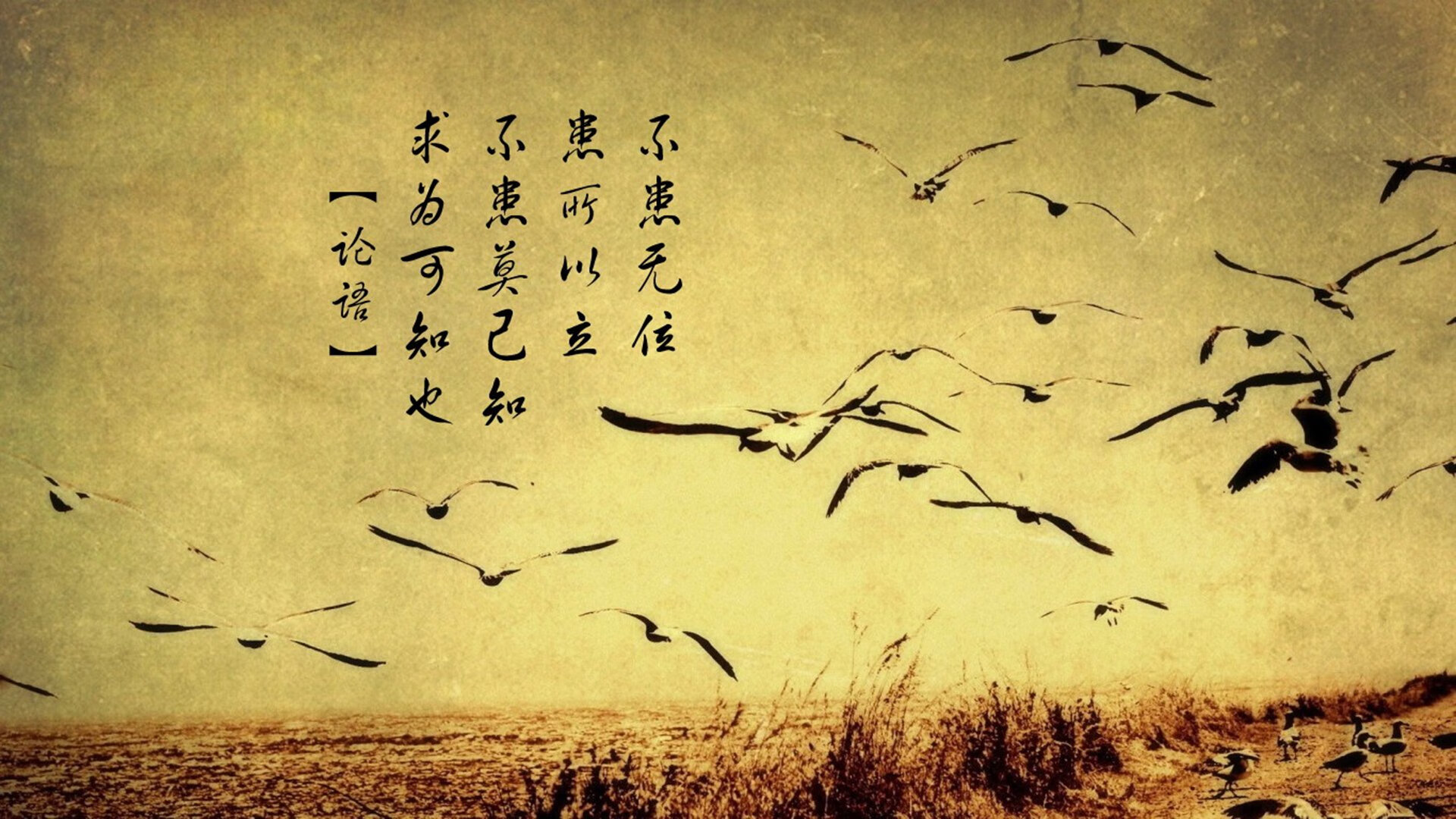 跨越太平洋的翻译官，当贝恩成为辽宁与独行侠的攻防转换核心