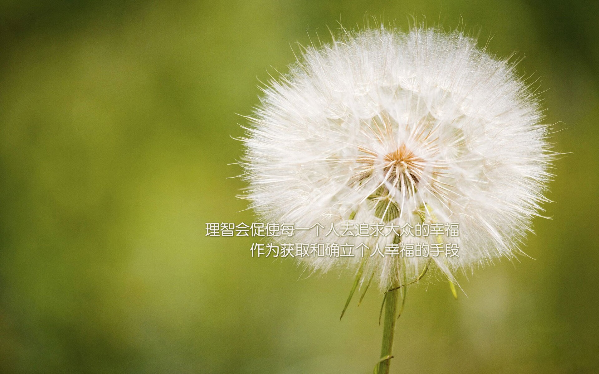 沙漠风暴与高卢雄鸡,2026世界杯E组暗夜双杀,伊拉克血洗波兰,姆巴佩一剑封喉