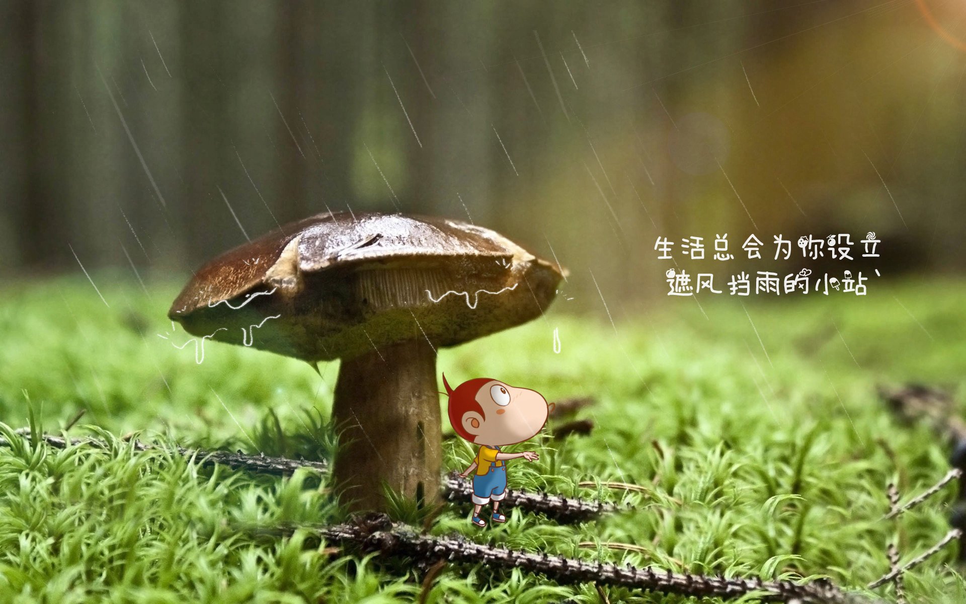 沙漠风暴中的冷雨夜,伊拉克险胜沙特,拉什福德为何在强强对话中改写剧本?
