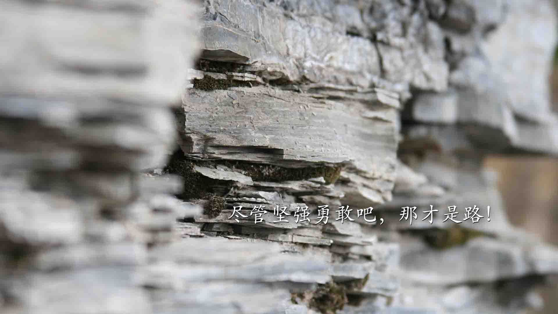 （扩展思维后的多个备选）