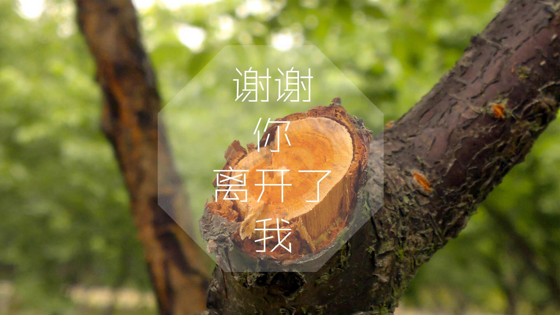 开云体育平台APP-蓝衣军团的黄昏与东亚之光的黎明，2026世界杯B组，一场德容定义的完美风暴